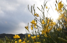 Γενικά αίθριος θα είναι ο καιρός αύριο Σάββατο με αραιές νεφώσεις και τοπικές βροχές