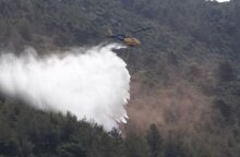 Αιγάλεω: Συνελήφθη Τούρκος για εμπρησμό