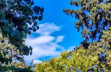 ουρανος, συννεφα, δεντρα