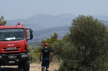 Οριοθετήθηκε η πυρκαγιά σε γεωργική έκταση στην Αλίαρτο Βοιωτίας	
