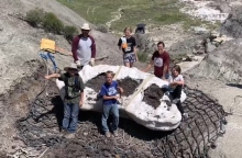 4 παιδια, 2 ενηλικες, Απολίθωμα Τυραννόσαυρου Ρεξ