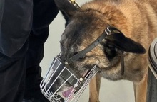 Η «Σκαρ» θα συνδράμει στις έρευνες για τον εντοπισμό του Michael Mosley