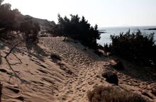 Μονοπάτι με άμμο που καταλήγει σε παραλία στη Γαύδο 