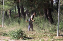 Ακαθάριστα οικόπεδα