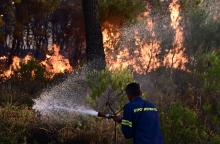 πυροσβεστης, φωτια, δασος