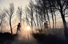 Σε επιφυλακή παραμένουν οι δυνάμεις της πυροσβεστικής στην Κερατέα 