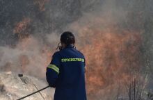 Μάχη για την αναχαίτιση της φωτιάς στη Σταμάτα