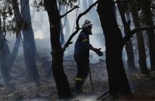 Για τη φωτιά στα Γλυκά Νερά εστάλη ειδοποίηση 112 