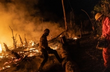 πυροσβεστες, φωτια, δασος