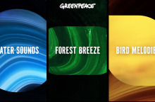  Η Greenpeace έφτιαξε μια playlist που βοηθά να διατηρηθεί η φύση ζωντανή