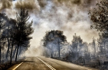 φωτια, καπνος, δασος