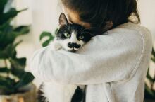 Παγκόσμια Ημέρα Γάτας 8 Αυγούστου - Αναδρομή στην ιστορία της σχέσης τους με τον άνθρωπο - Από τους αρχαίους πολιτισμούς έως σήμερα. 