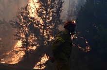 πυροσβεστες, φωτια, δασος