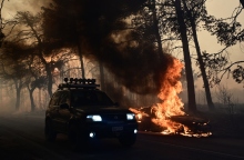 φωτια, δασος, περιπολικο, πυροσβεστικη