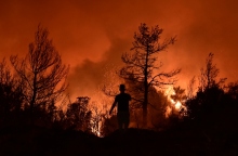 φωτια, δασος, βουνο
