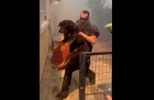 αστυνομικοι κουβαλαν σκυλο