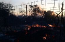 Πολλαπλές οι εστίες φωτιάς στην Αττική 