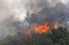 Τουρκία: Συνεχίζεται η μάχη στα πύρινα μέτωπα - Νέα εστία πυρκαγιάς στα Βουρλά της Σμύρνης