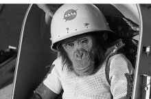 Πίθηκοι και σκύλοι μπήκαν σε πολλές διαστημικές αποστολές