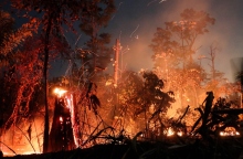 δασος που καιγεται