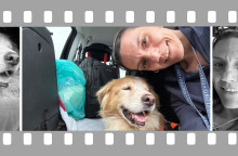 Ο φίλος μου ο Μπετόβεν, συνταξιδιώτης στο πρώτο μισό της διαδρομής, από την Αθήνα στο Νοορντβάικ της Ολλανδίας