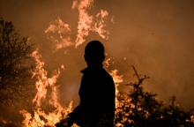 πυροσβεστης, φωτια, δασος