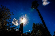 ουρανος, ηλιος, δεντρα