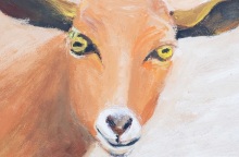 Όλγα Π., Κατσίκα IV, 2022: έργο από την έκθεση «Συλλογικό Γουργουρητό», Κτίριο Νόμπελ, Χαλάνδρι