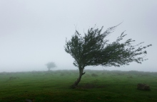 Καιρός: Έρχονται τα πρώτα κρύα με θυελλώδεις ανέμους
