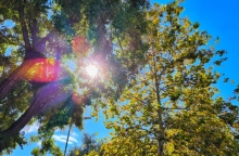 ουρανος, συννεφα, δεντρα