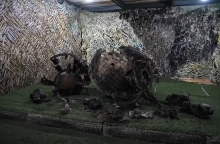 συντριμμια πυραυλου