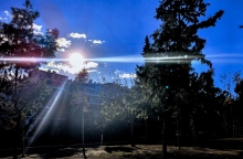 δεντρα, σπιτια, ουρανος, ηλιος