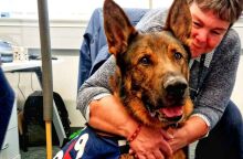 The Thin Blue Paw Foundation