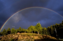 ουρανιο τοξο, δασος, συννεφα