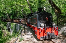 τρενο, βαγονια, δασος