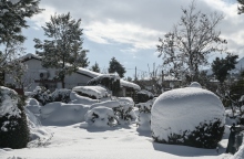 χιονισμενο τοπιο, δασος, δεντρα, σπιτια