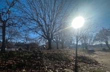 ηλιος, ουρανος, δεντρα