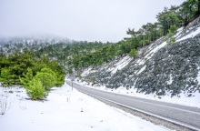 Νέα χιόνια σε Φθιώτιδα, Φωκίδα, Ευρυτανία- Ολονύχτια μάχη να μείνουν ανοιχτοί οι δρόμοι