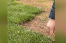 Έκλεψαν το γκαζόν από το δήμο Ελληνικού - «Ο ευρών αμειφθήσεται» λέει ο δήμαρχος