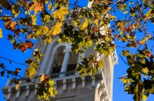 ουρανος, φυλλα, πυργος