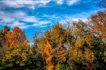 ουρανος, συννεφα, δεντρα