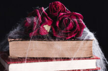 Dark Romance: Tο νέο λογοτεχνικό υποείδος που έγινε viral