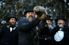 ΗΠΑ: Ο Φιλ η μαρμότα έκανε την πρόβλεψη - Έξι εβδομάδες χειμώνα ακόμα