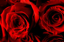 Τα λουλούδια του έρωτα για του Αγίου Βαλεντίνου