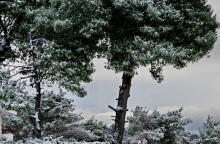 Καιρός: Χιονίζει στην Πάρνηθα - Άγγιξε τους -10 βαθμούς Κελσίου η χαμηλότερη θερμοκρασία σήμερα