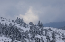 χιονισμενο τοπιο, δασος, δεντρα, 