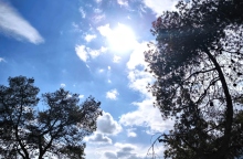 ουρανος, συννεφα, δεντρα, ηλιος