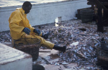 Η βιώσιμη αλιεία και η μάχη για το μέλλον των Ωκεανών