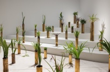 Σάμι Μπαλότζι: Απόηχοι της ιστορίας, σκιές της προόδου στο ΕΜΣΤ