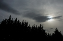 συνεφφα, ουρανος, δεντρα